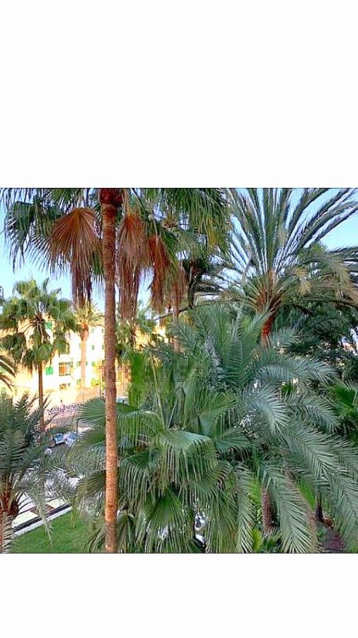 Maspalomas Del Mar San Bartolome Bagian luar foto